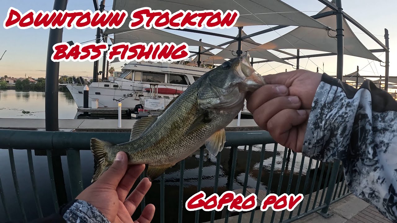 Early Morning Bass Fishing AND Live Streaming Downtown Stockton !!