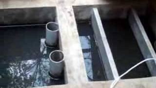 Bangalore-Treating kitchen waste water for reuse