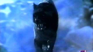 Abertura Mundial de Clubes 2000