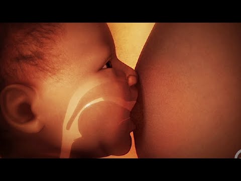 Badiiy gey porno film