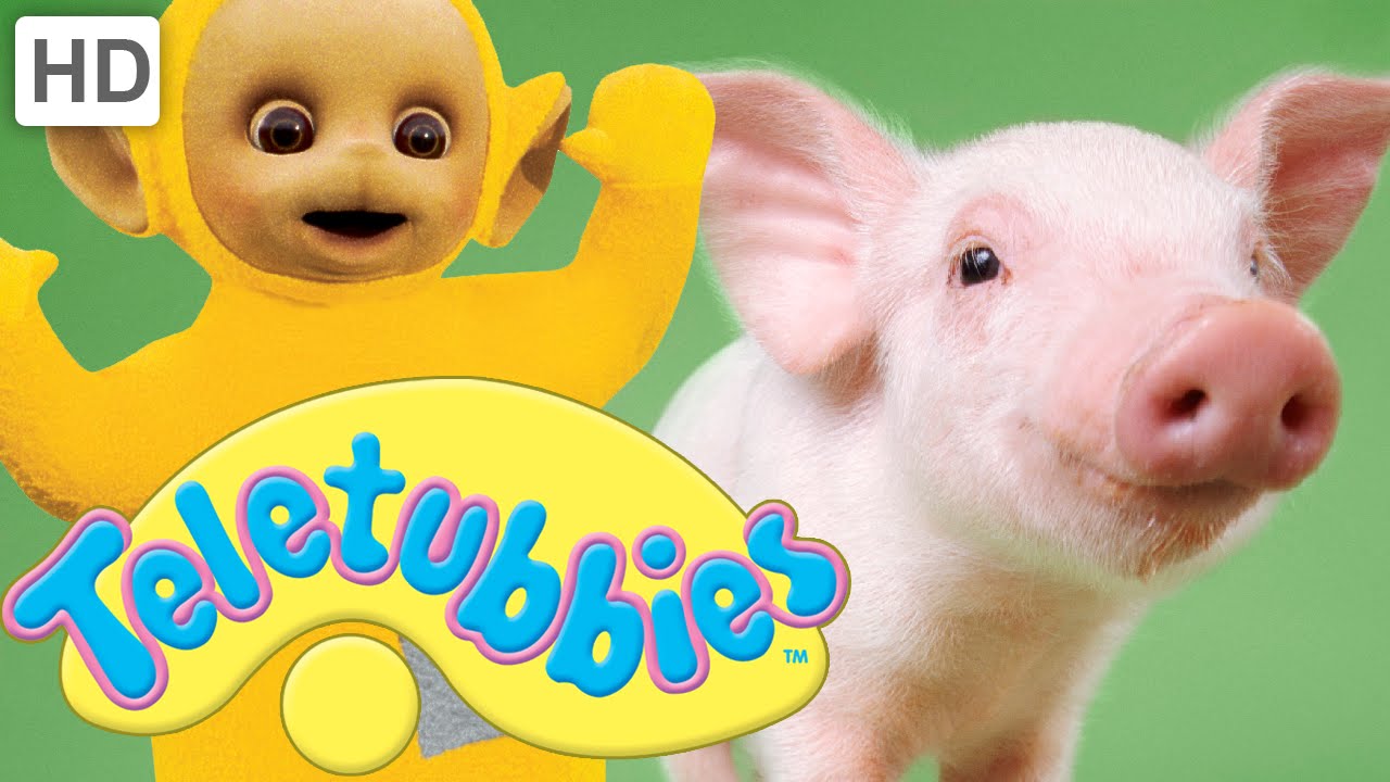 Teletubbies: Piglets - Full Episode
