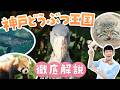 激レア動物に会える!神戸どうぶつ王国が100倍楽しめる解説ツアー【動物園・水族館紹介】