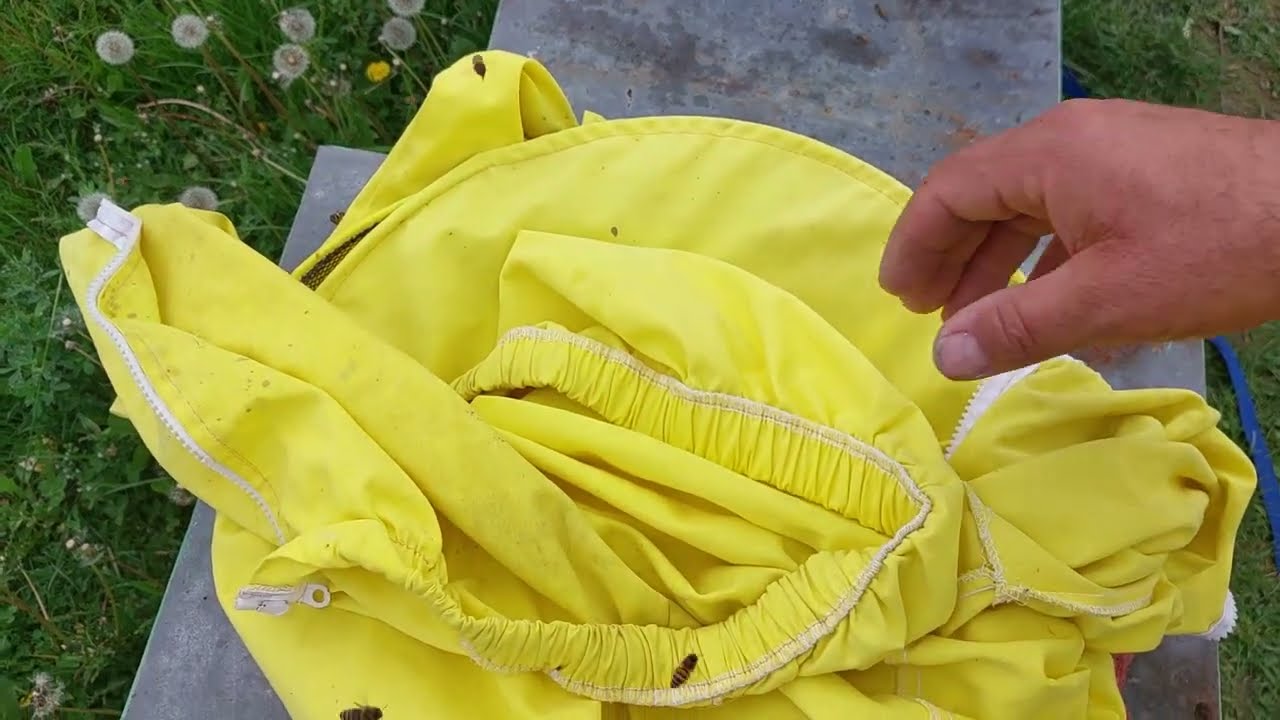 1550. Fac roi cu botci