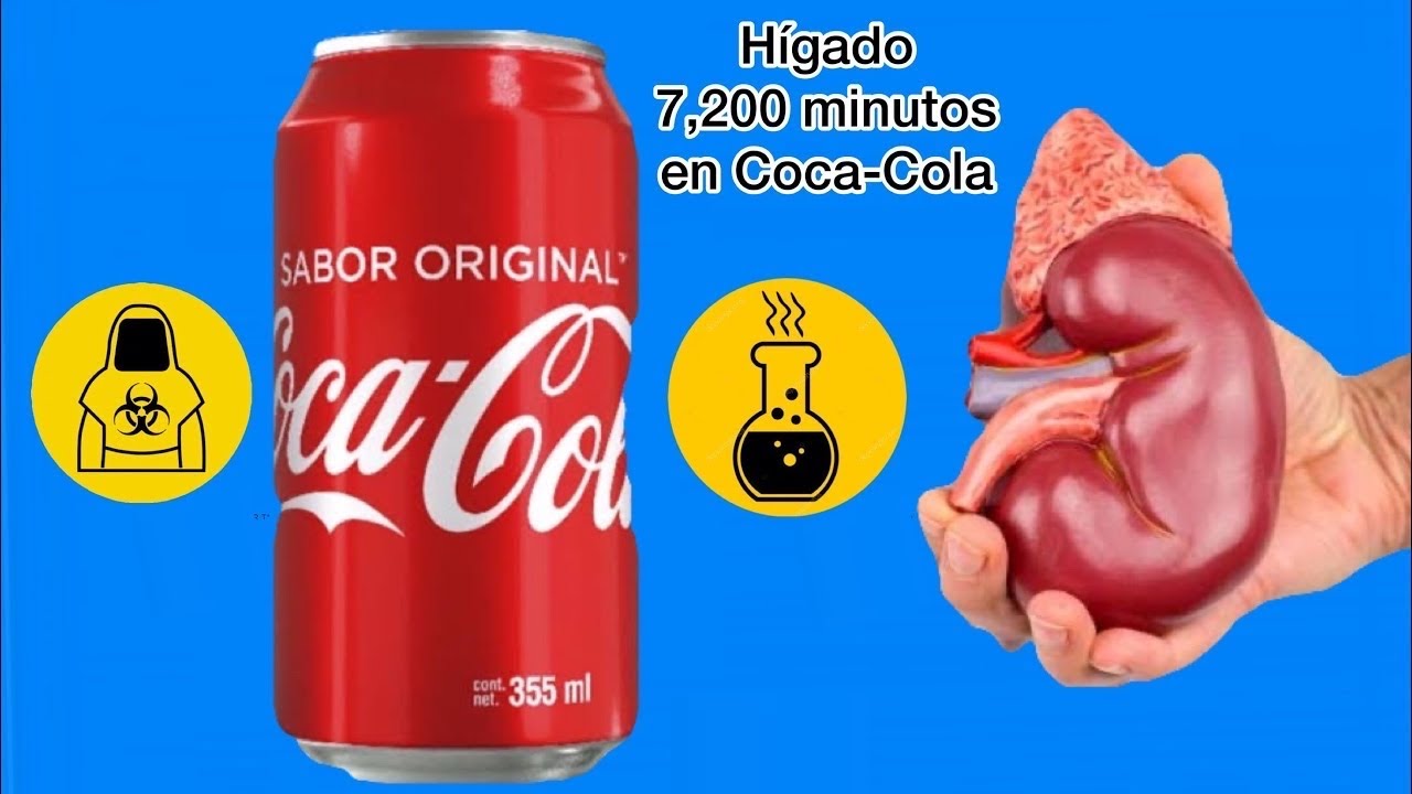 Un hígado dentro de una cocacola por 7,200 MINUTOS. hígado 