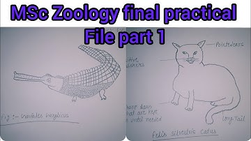 MSc Zoology final practical File part 1