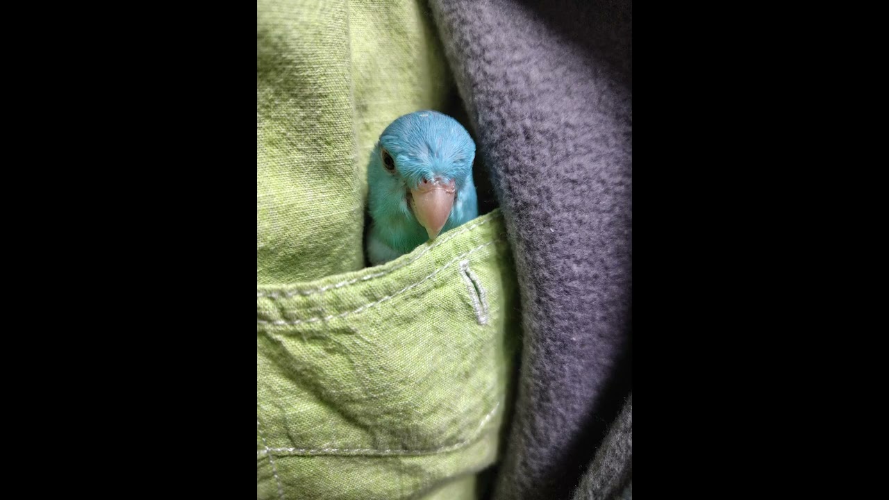 思い出してはいけない