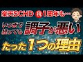 【祝1周年】SCHDがいつまで経っても調子が悪いたった一つの理由。不安な人はこれをみてください。30年で10倍になります。