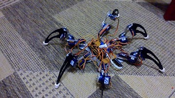 Aranha Robotica teste  (Spider Robot, hexapod) Araraquara-SP Brasil