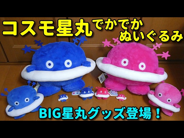Cosmo Hoshimaru] A huge plush toy of the same size as the Tsukuba