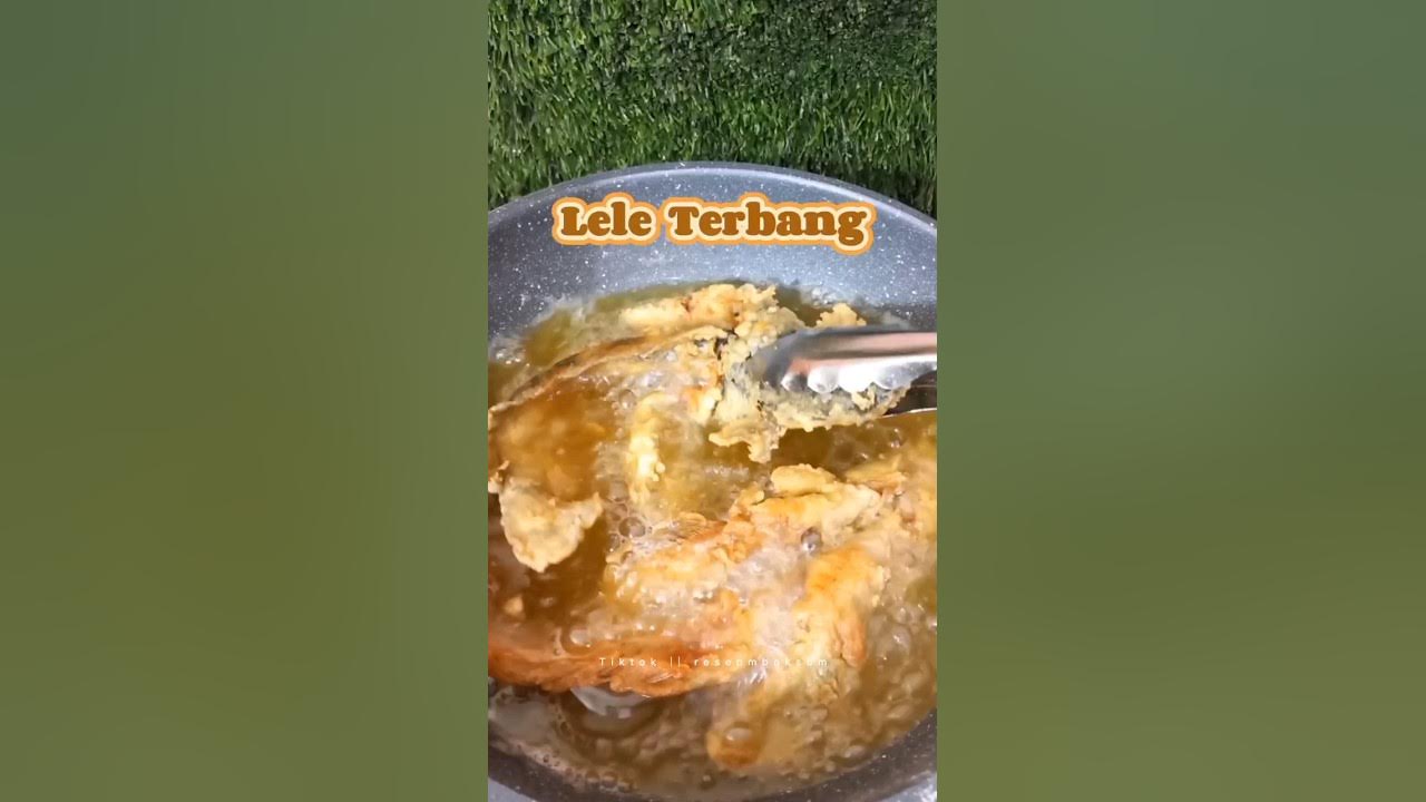 Bikin lele terbang supaya anak dirumah gak bosan Bikin lele terbang supaya anak dirumah gak bosan