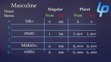 Learn Pali Language- Nouns - Basic Declension