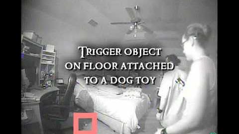 Paranologies Trigger object alarm