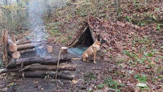 Solo Winter Bushcraft Camp, Campfire Cooking, Making a Slingshot, Off Grid, wilderness camping