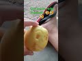 ricky manzana