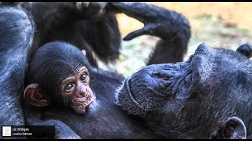 WorldView - an Xbox One-compatible UWP app