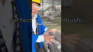 Let’s Watch Bonito Being Unloaded at the Fishing Port!