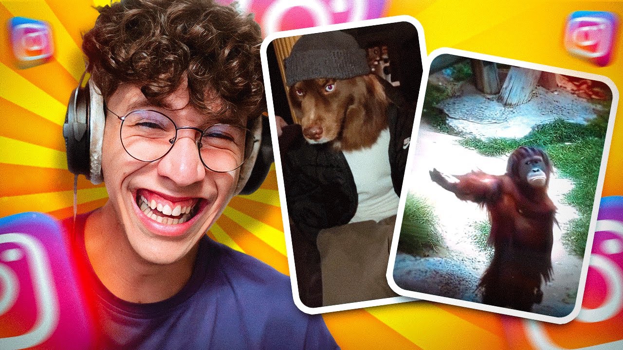 REAGISCO AI REEL PIÙ DIVERTENTI SUGLI ANIMALI