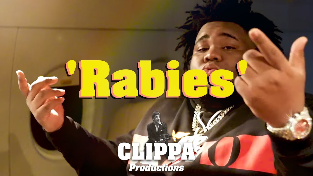 Roy Woods x Rod Wave Type Beat 2021 - 'Rabies' - YouTube
