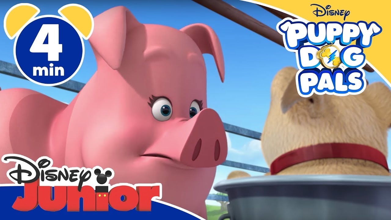 Puppy Dog Pals | Il maialino - Disney Junior Italia