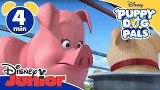 Puppy Dog Pals Il Maialino - Disney Junior Italia
