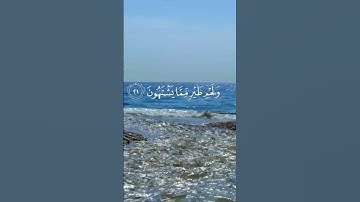 سورة الواقعة / القارئ/ الشيخ  خليل الصغير