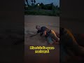 Quase que me machuquei dessa queda