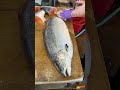 Super fast salmon cutting with a specialized knife #Salmon #KnifeSkills #FishCutting