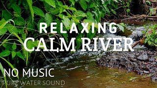 ASMR Water Sound|River Sound for Studying|The sound of the river flow can relax the nerves