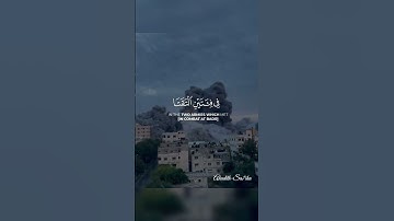 #القران_الكريم #قران #تلاوات #قران_كريم #تلاوة_خاشعة #سورة_ال_عمران #عبدالرحمن_مسعد #غزة #اتلاوة