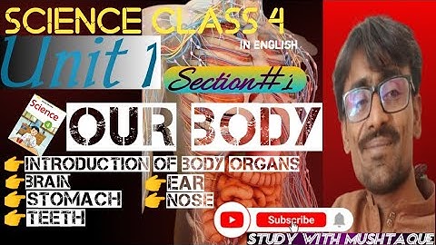English Science Class 4th||Unit1|| Section1|| Our body||Sindh text book board Jamshoro||