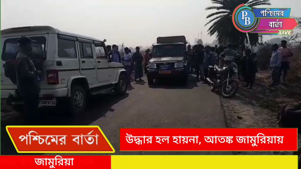 জামুড়িয়ায় উদ্ধার হায়না, এলাকায় চাঞ্চল্য।