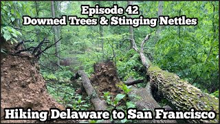 Downed Trees & Stinging Nettles | Ohio Buckeye | American Discovery Trail Ep 42