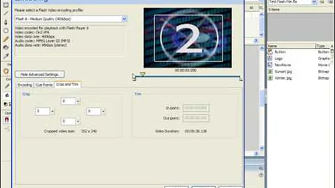 Flash Tutorial Importing Video Adobe Training Lesson 15.3