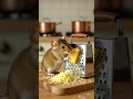 This little chef is serious about fresh cheese! 🧀🐭 #viral #shortvideos #ai #chatgpt #sora #gemini