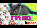 Котенок Баттерс открывает Киндер Сюрприз и собирает коллекцию игрушек