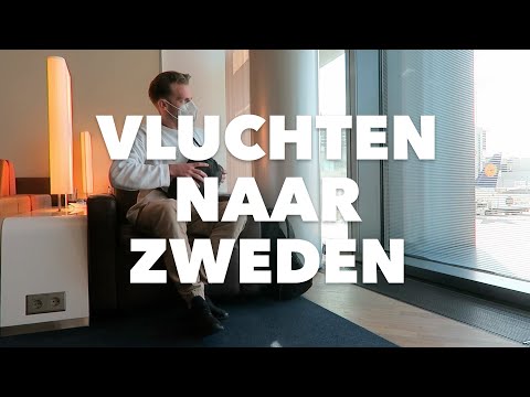 Video: Solar Egg Sauna Is De Moeite Waard Om Naar Zweden Te Reizen