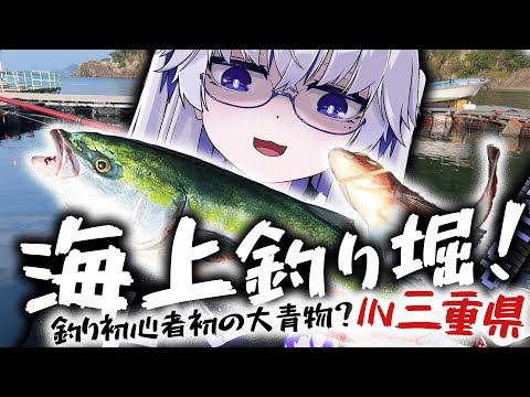 【三重県】鯛に青物!?真夏の海での戦いがそこにあった……【VEE/亞生うぱる】