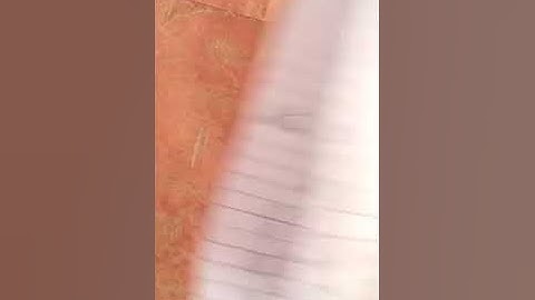 AIOU B.A 5404 and1423 and 9407 sloved assignment no.1 ENGLISH