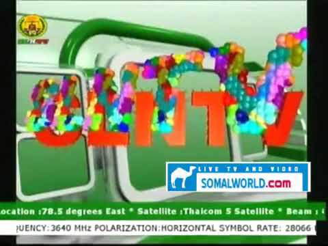 ID - Somaliland National Television
