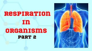Respiration In Organisms: Part 2 | Exchange of Gases | Biology Science | Explained in Detail