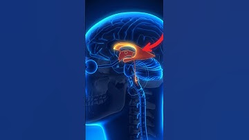 DEJA-VU 😱 Your brain’s biggest glitch explained in 20 s