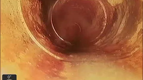 2025 08 15 08 13 30-718 Wingfoot Ln-1