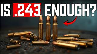 Does .243 Winchester Have Enough Energy for Larger Game? screenshot 4