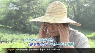 잘먹고 잘사는 법 20130713 다시보기 #1(1)