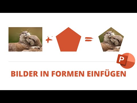 Video: So erstellen Sie ein Prozessflussdiagramm: 7 Schritte (mit Bildern)