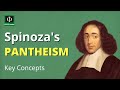 Understanding Spinoza's Pantheism