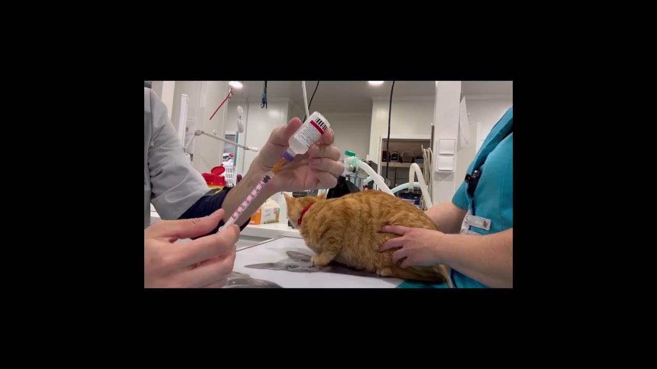 Comment faire une injection d