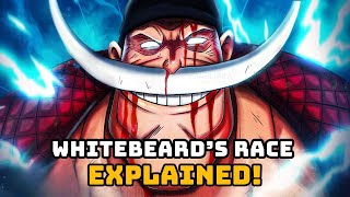 One Piece Theory: Whitebeard's Race Was A Buccaneer
