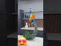 Choco peacock #ytshorts #shorts #short #viral #trending #youtube #love #chocolate #challenge #cake