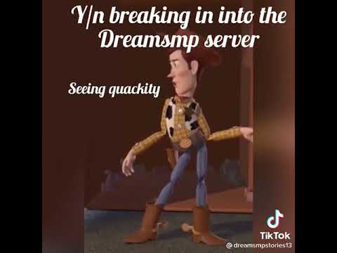 Y/n x dream smp